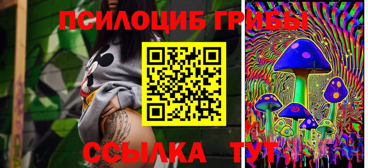 Котлас  Псилоцибиновые грибы прущие грибы  Вход с VPN  Галлюциногенные грибы прущие грибы 